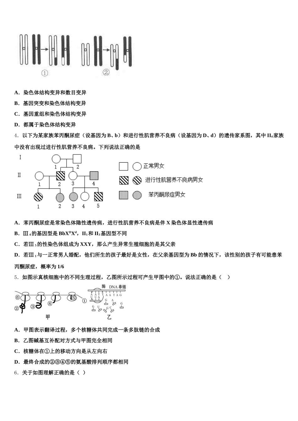 2024-2025学年四川省成都市达标名校生物高一第二学期期末经典模拟试题含解析_第2页