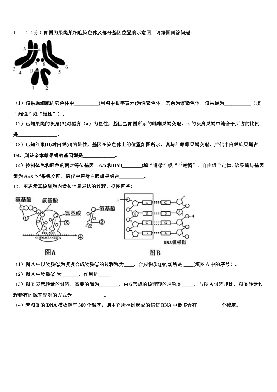 2024-2025学年四川省成都七中万达学校高一下生物期末质量检测试题含解析_第3页