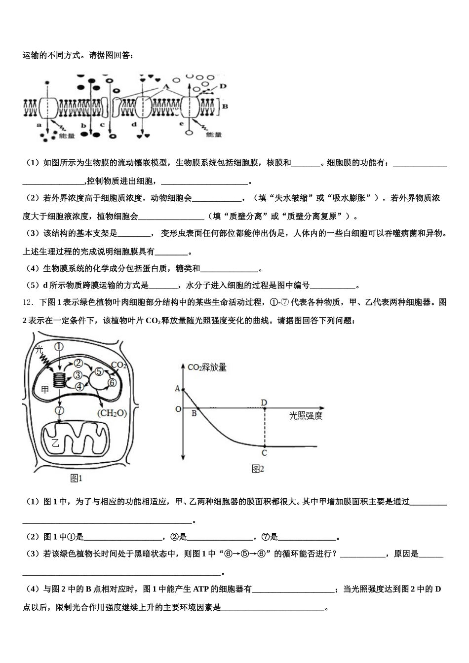 2024-2025学年四川省眉山车城中学生物高一第二学期期末检测模拟试题含解析_第3页