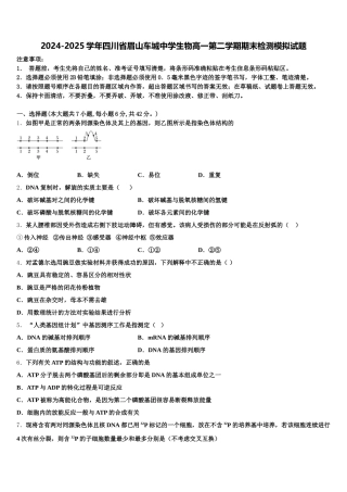 2024-2025学年四川省眉山车城中学生物高一第二学期期末检测模拟试题含解析