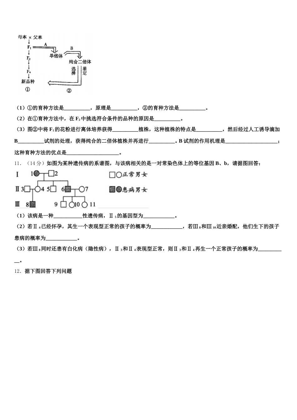 2024-2025学年四川省广安市生物高一下期末考试模拟试题含解析_第3页