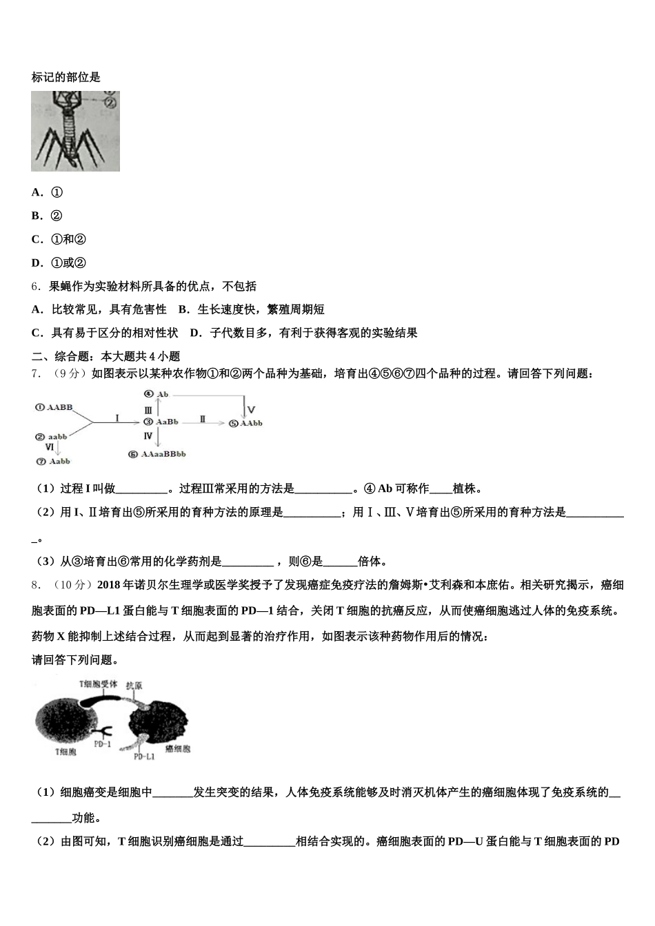 四川省成都实验外国语学校2024-2025学年高一下生物期末质量跟踪监视模拟试题含解析_第2页