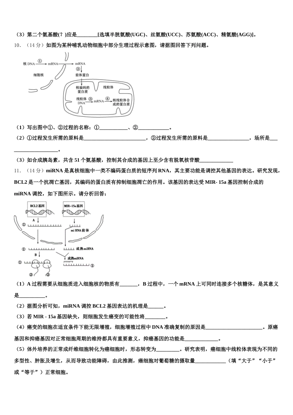 四川省南充高中高2025年生物高一下期末质量检测模拟试题含解析_第3页