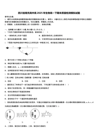 四川省南充高中高2025年生物高一下期末质量检测模拟试题含解析