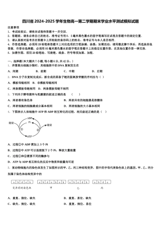 四川省2024-2025学年生物高一第二学期期末学业水平测试模拟试题含解析
