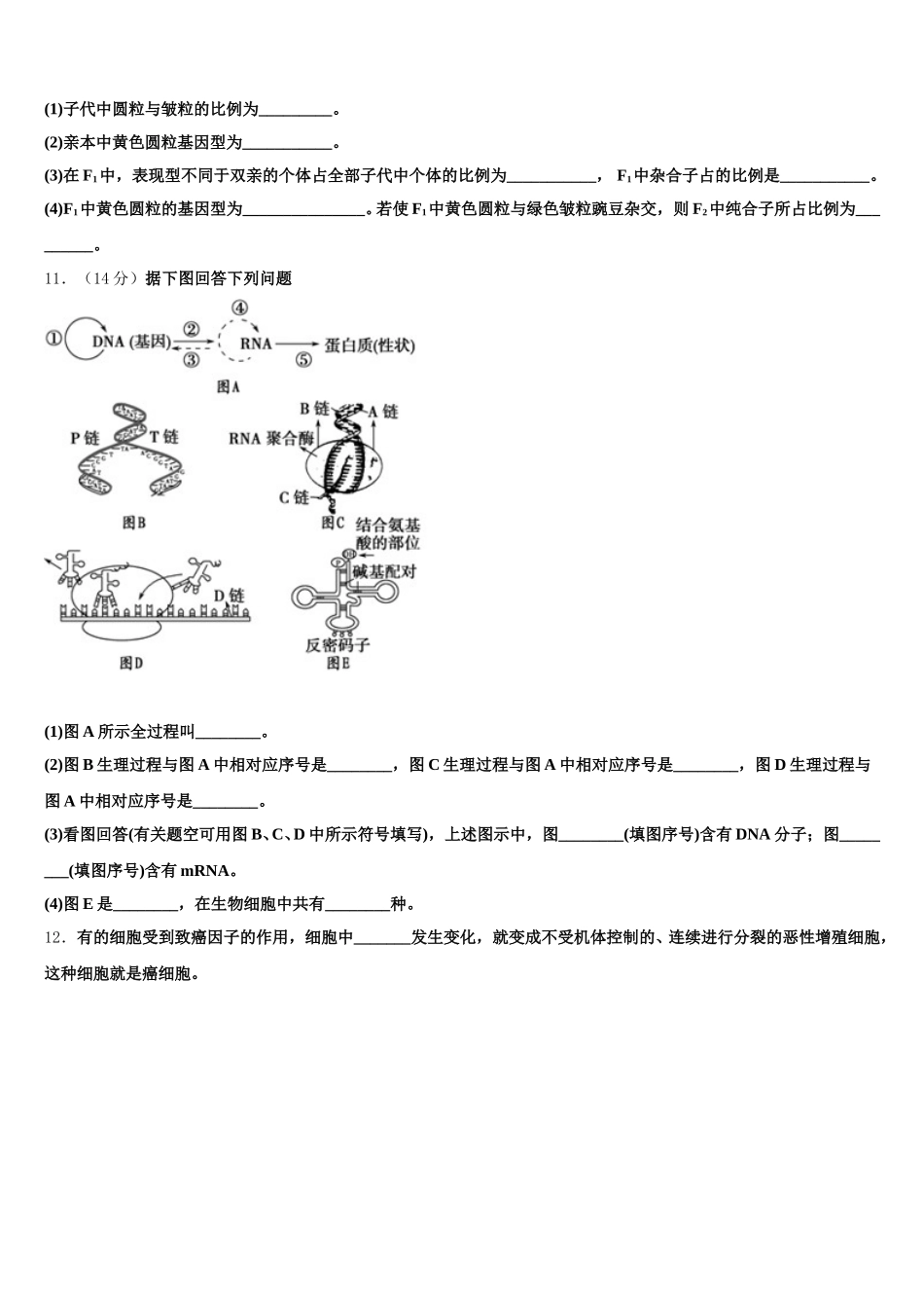 2024-2025学年四川省广安市广安区广安中学生物高一第二学期期末经典模拟试题含解析_第3页