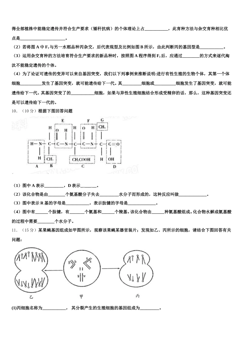 2025年四川省成都盐道街中学三生物高一第二学期期末统考模拟试题含解析_第3页