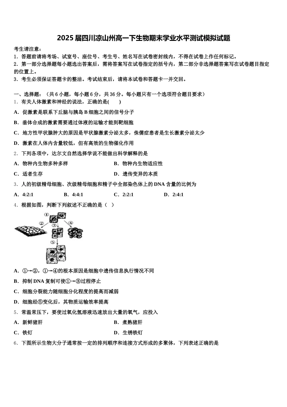 2025届四川凉山州高一下生物期末学业水平测试模拟试题含解析_第1页