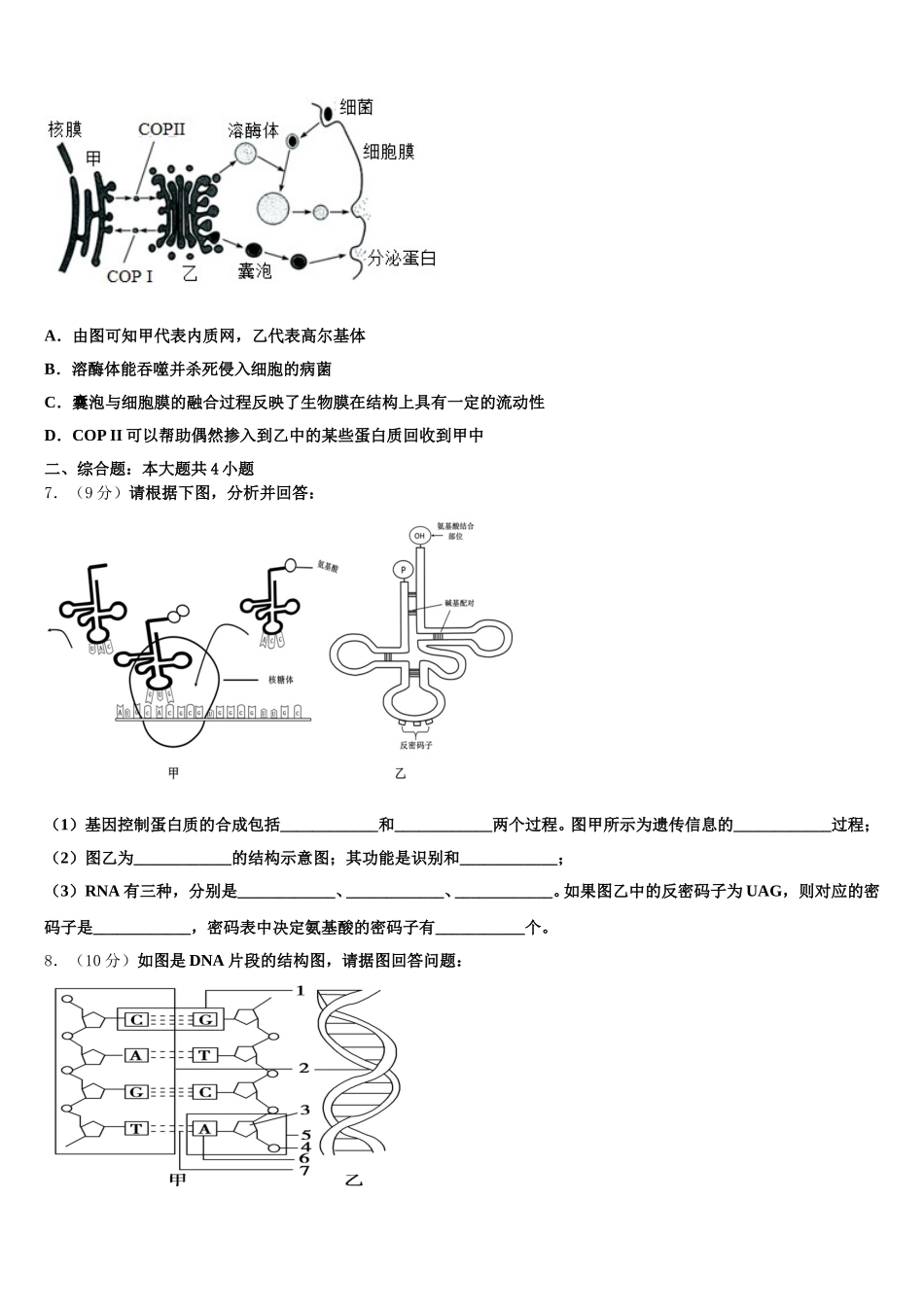 2025年四川省安岳县周礼中学高一下生物期末达标检测模拟试题含解析_第2页