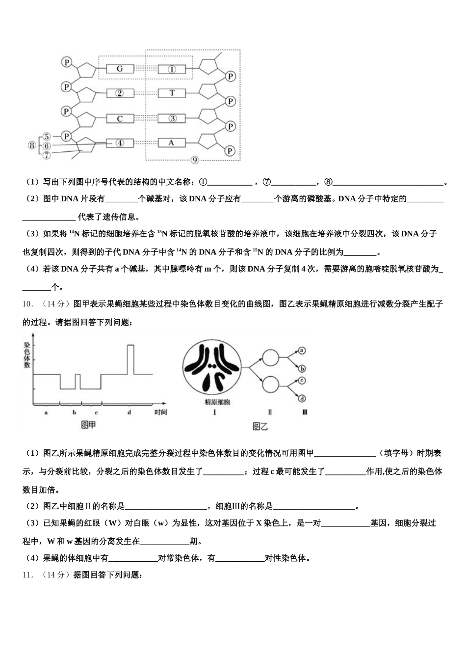 四川省成都市新都第一中学2025年高一下生物期末统考试题含解析_第3页