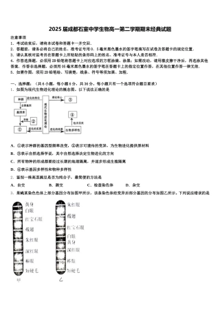 2025届成都石室中学生物高一第二学期期末经典试题含解析