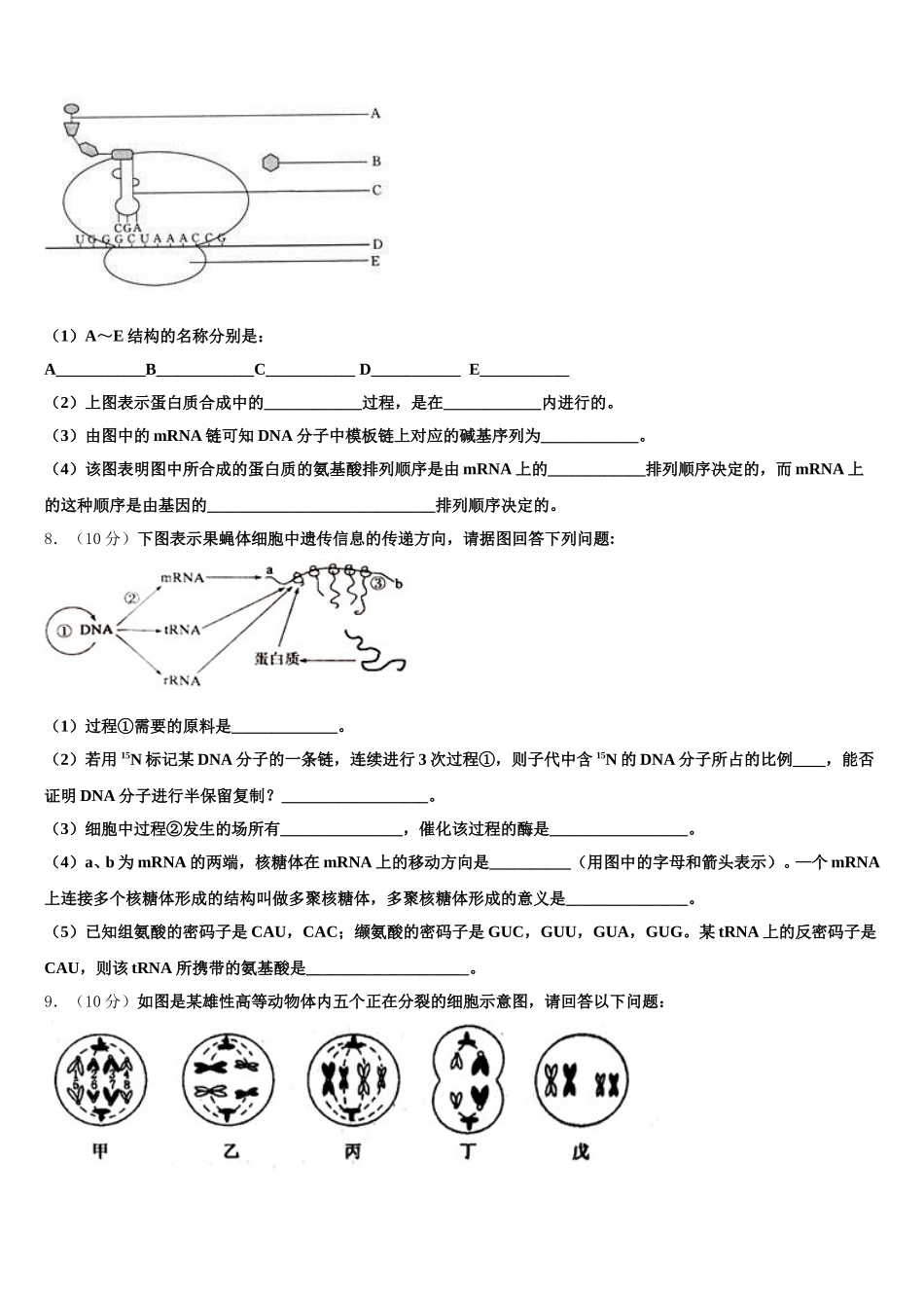 2024-2025学年四川省双流县棠湖中学高一生物第二学期期末复习检测试题含解析_第2页
