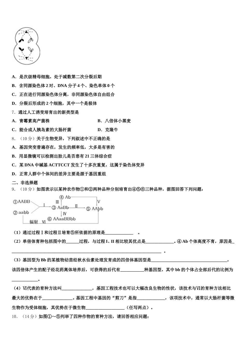 四川省仁寿一中2025届高一下生物期末教学质量检测模拟试题含解析_第2页