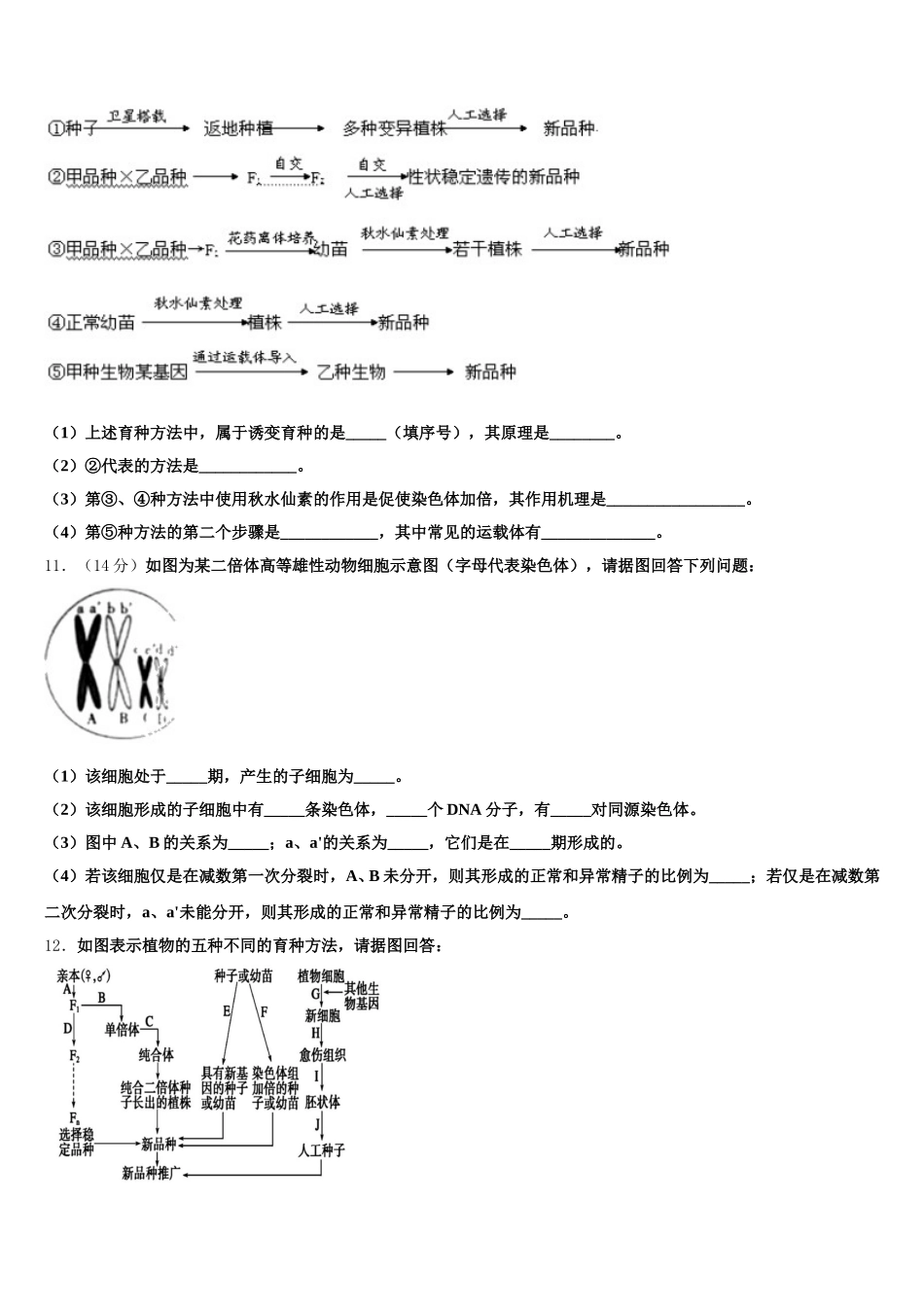 四川省仁寿一中2025届高一下生物期末教学质量检测模拟试题含解析_第3页