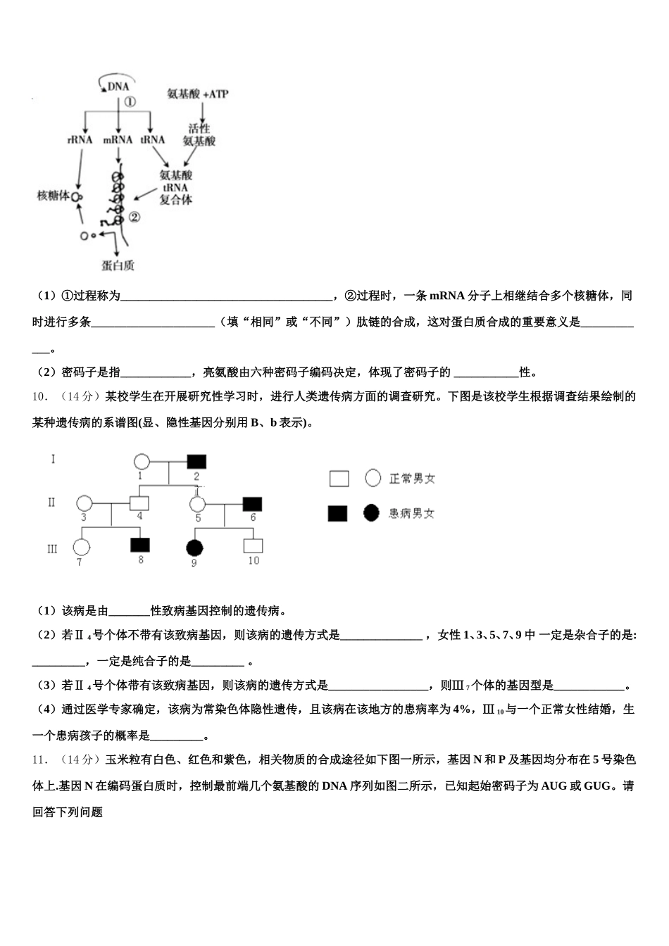 四川省绵阳南山中学实验学校2024-2025学年高一下生物期末监测模拟试题含解析_第3页