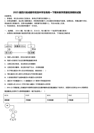 2025届四川省成都市双流中学生物高一下期末教学质量检测模拟试题含解析