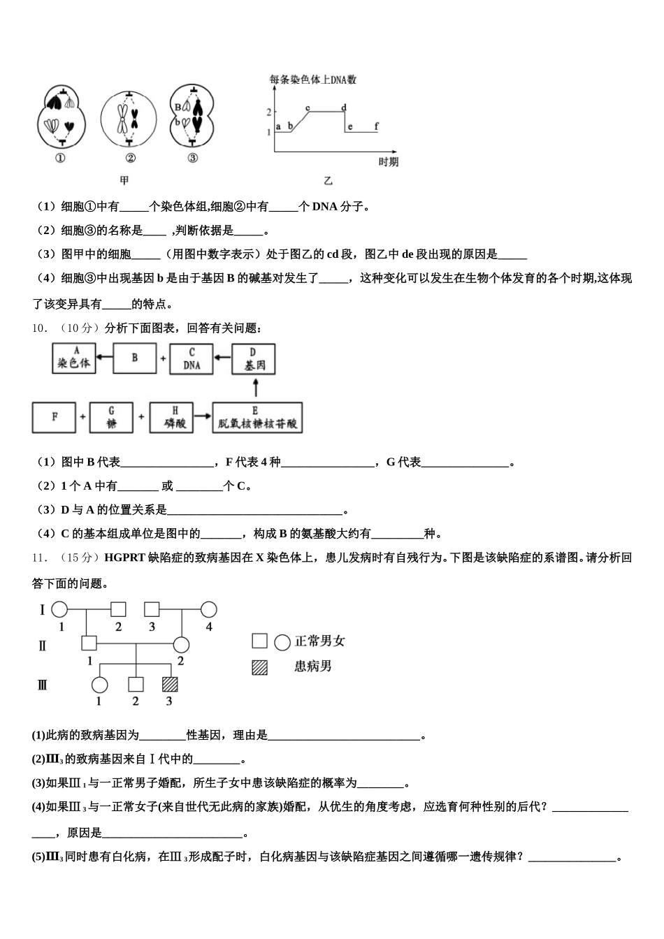 2024-2025学年凉山市重点中学高一下生物期末质量检测试题含解析_第3页