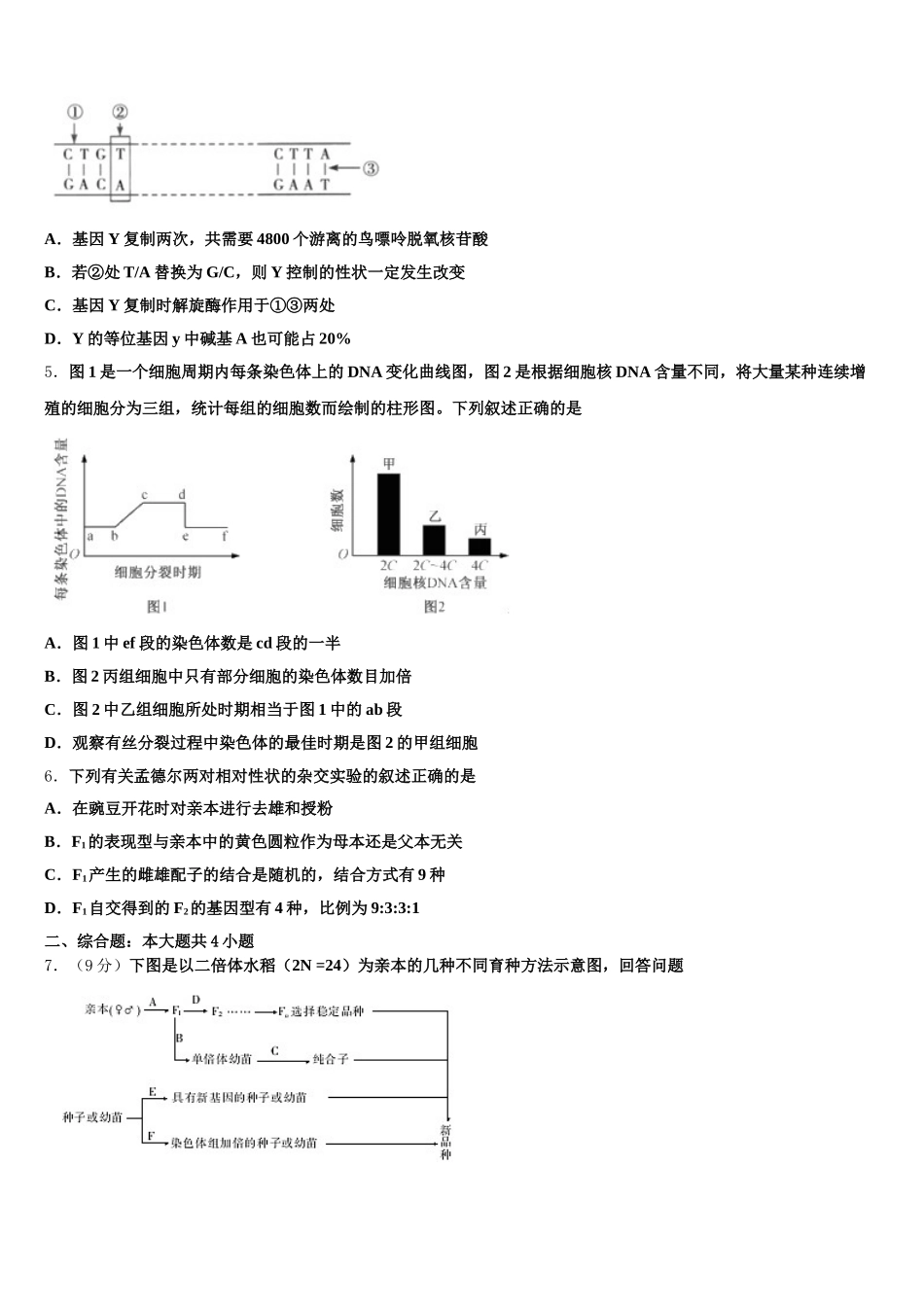 四川省成都市东辰国际学校2025届高一生物第二学期期末监测试题含解析_第2页