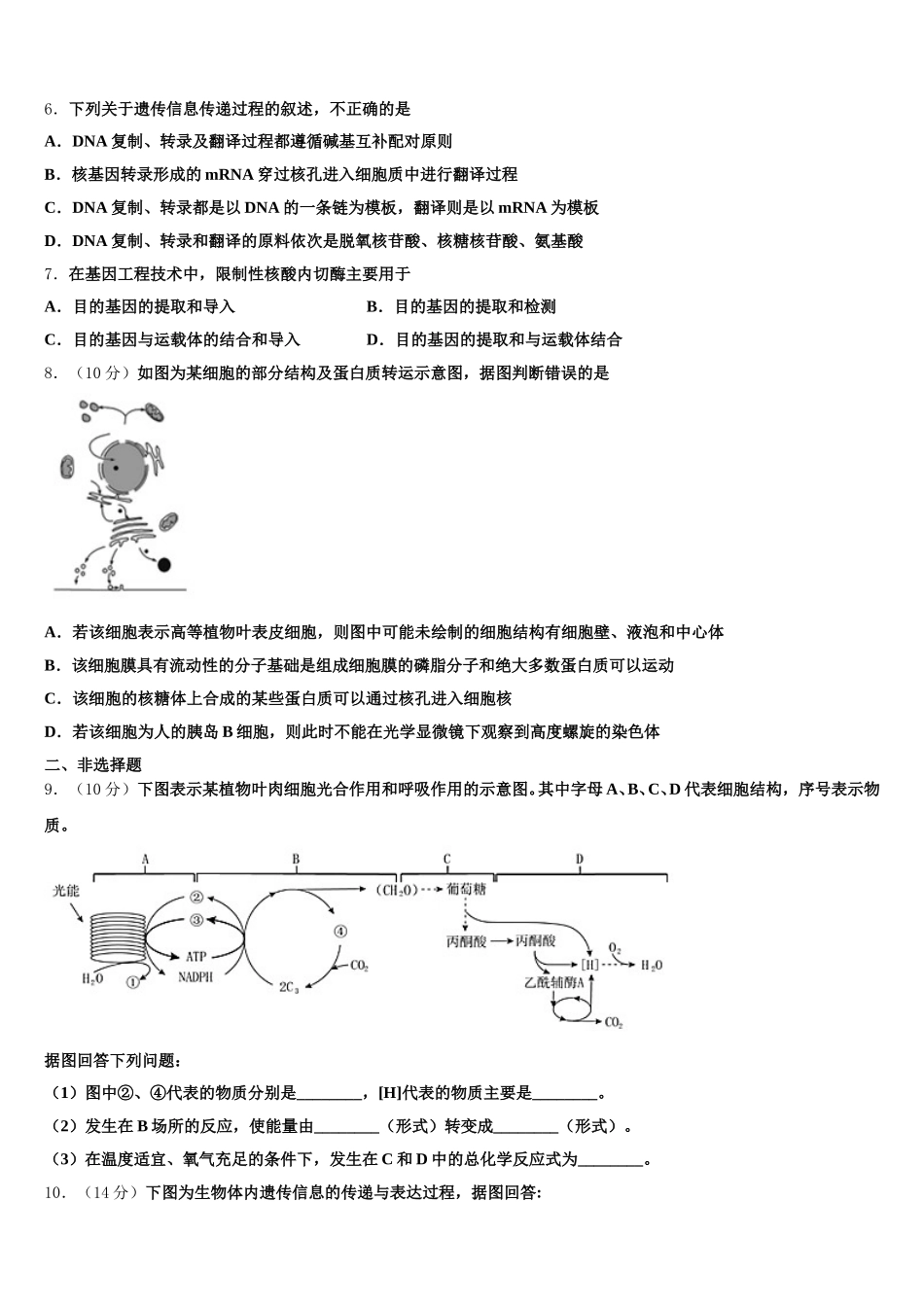 四川省德阳五中2025年生物高一下期末联考试题含解析_第2页