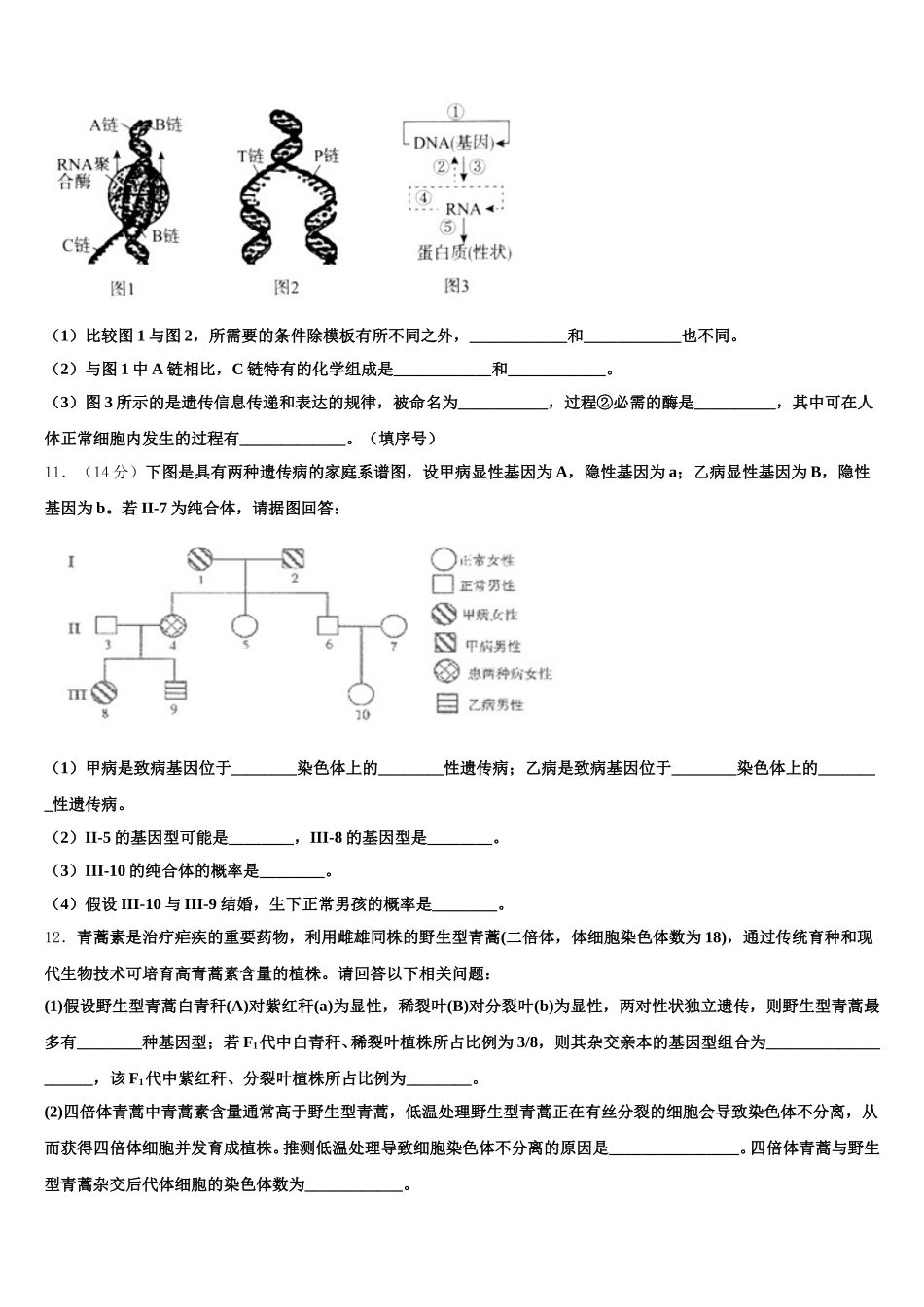 四川省德阳五中2025年生物高一下期末联考试题含解析_第3页