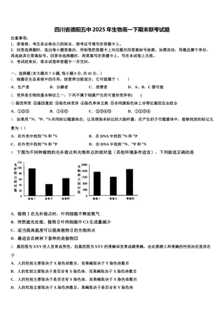 四川省德阳五中2025年生物高一下期末联考试题含解析