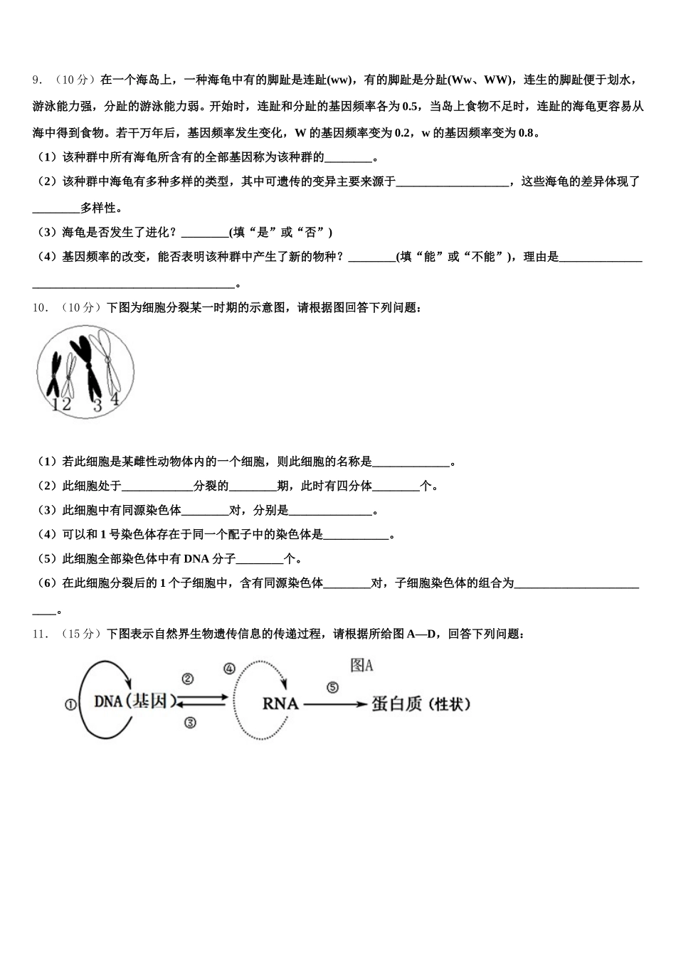 2025年四川省成都市经开区实验中学高一生物第二学期期末经典模拟试题含解析_第3页