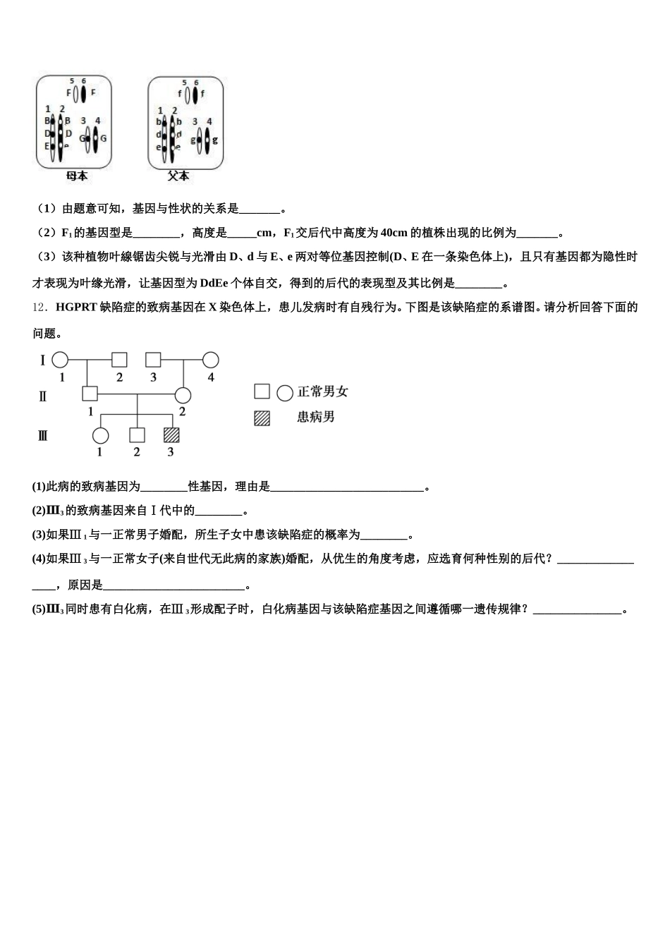 2025届四川省广安市邻水实验学校高一下生物期末调研试题含解析_第3页