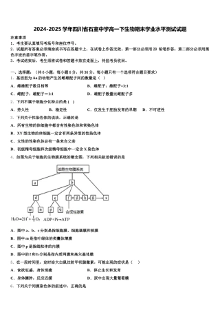 2024-2025学年四川省石室中学高一下生物期末学业水平测试试题含解析