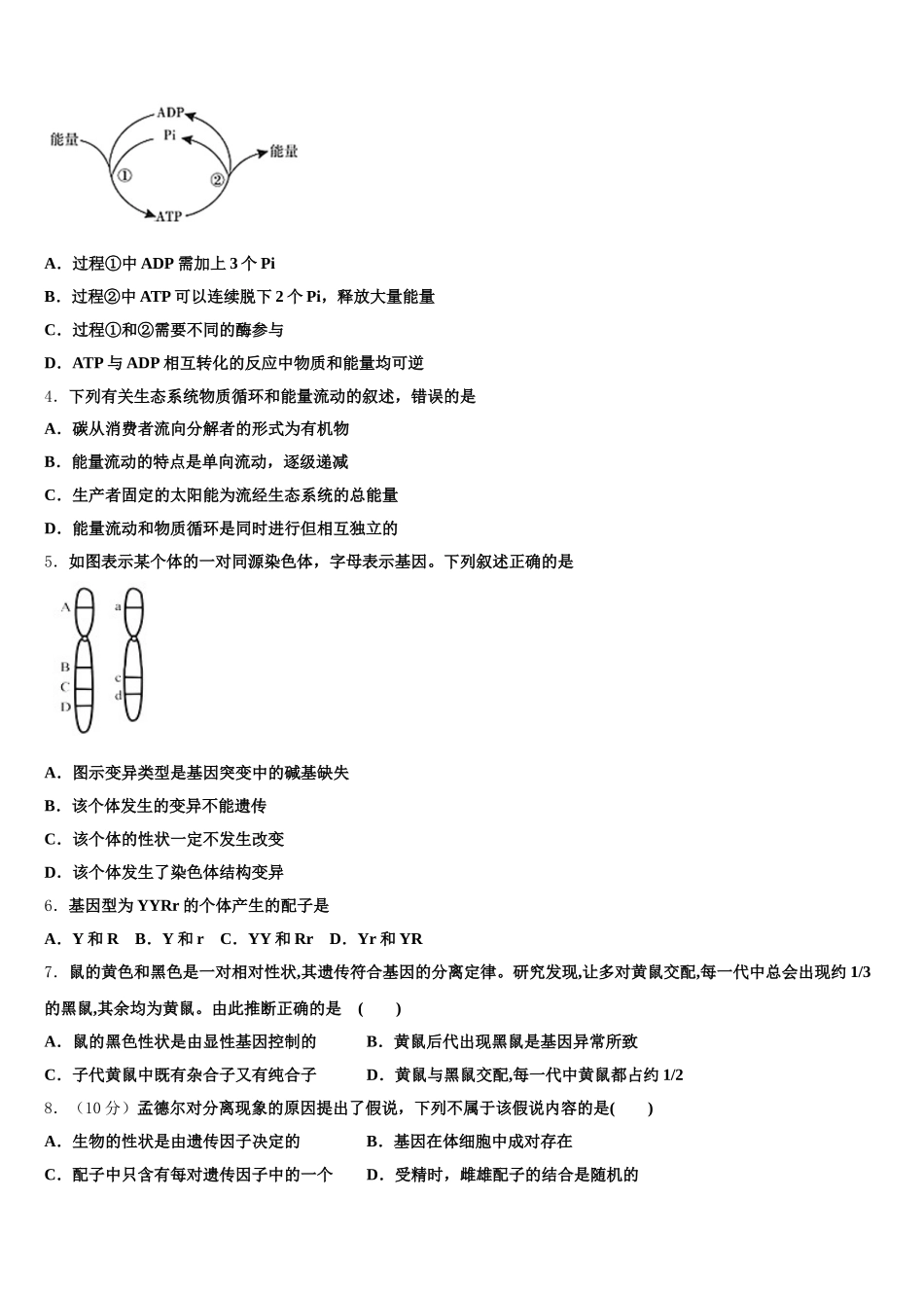 四川省泸州市天立国际学校2025届生物高一第二学期期末检测模拟试题含解析_第2页