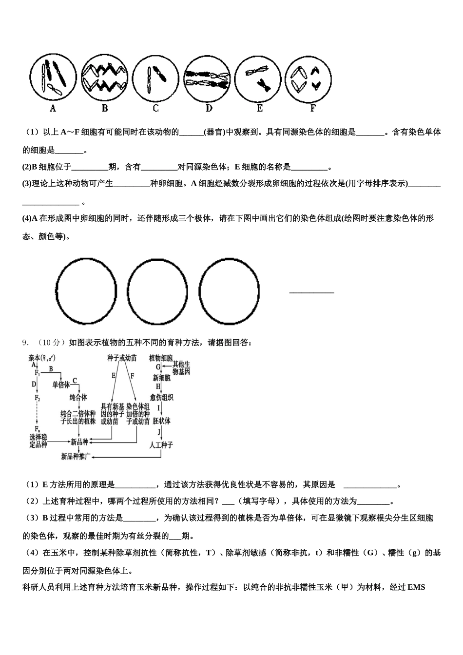 2024-2025学年四川省普通高中生物高一下期末质量跟踪监视模拟试题含解析_第3页
