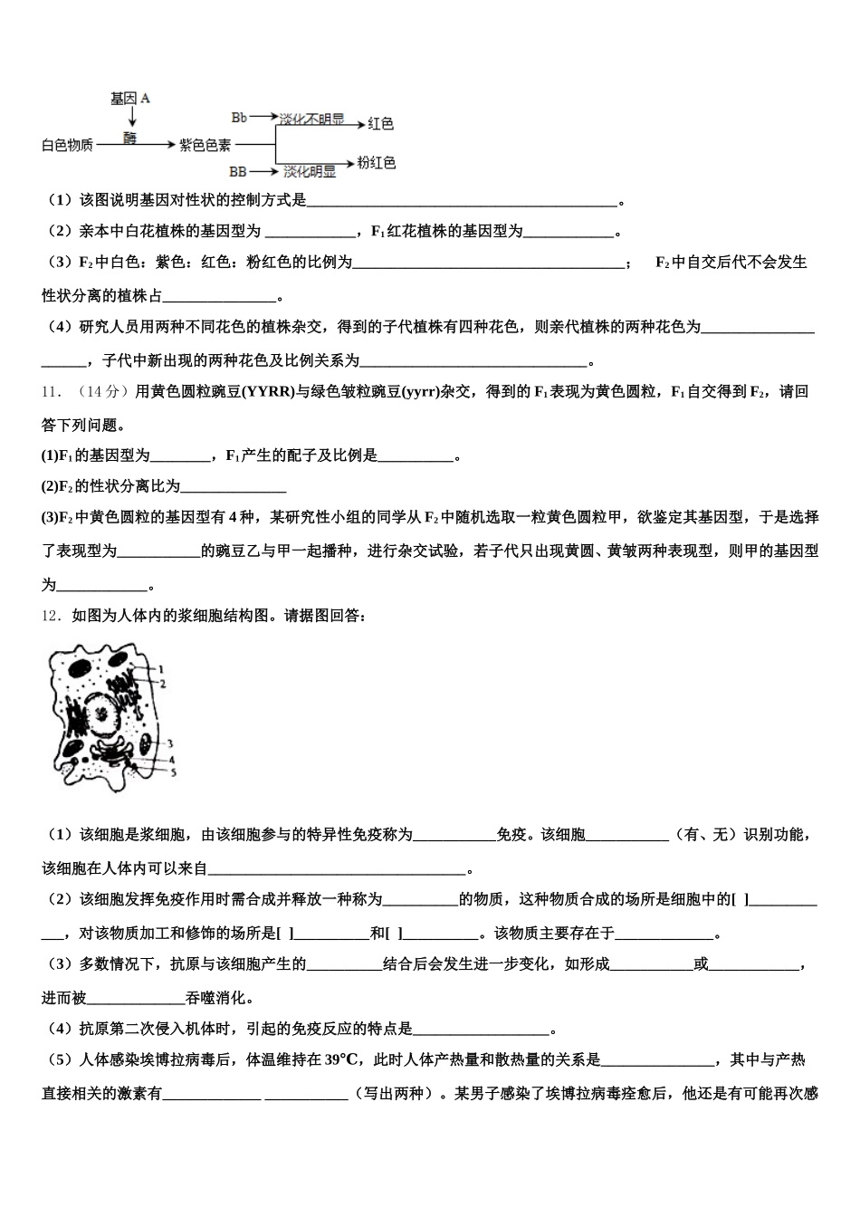 2025年四川省宜宾市生物高一下期末统考模拟试题含解析_第3页