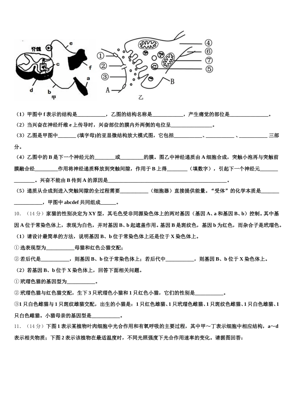 四川省绵阳是南山中学2024-2025学年生物高一第二学期期末质量跟踪监视模拟试题含解析_第3页