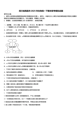 四川省西昌市2025年生物高一下期末联考模拟试题含解析