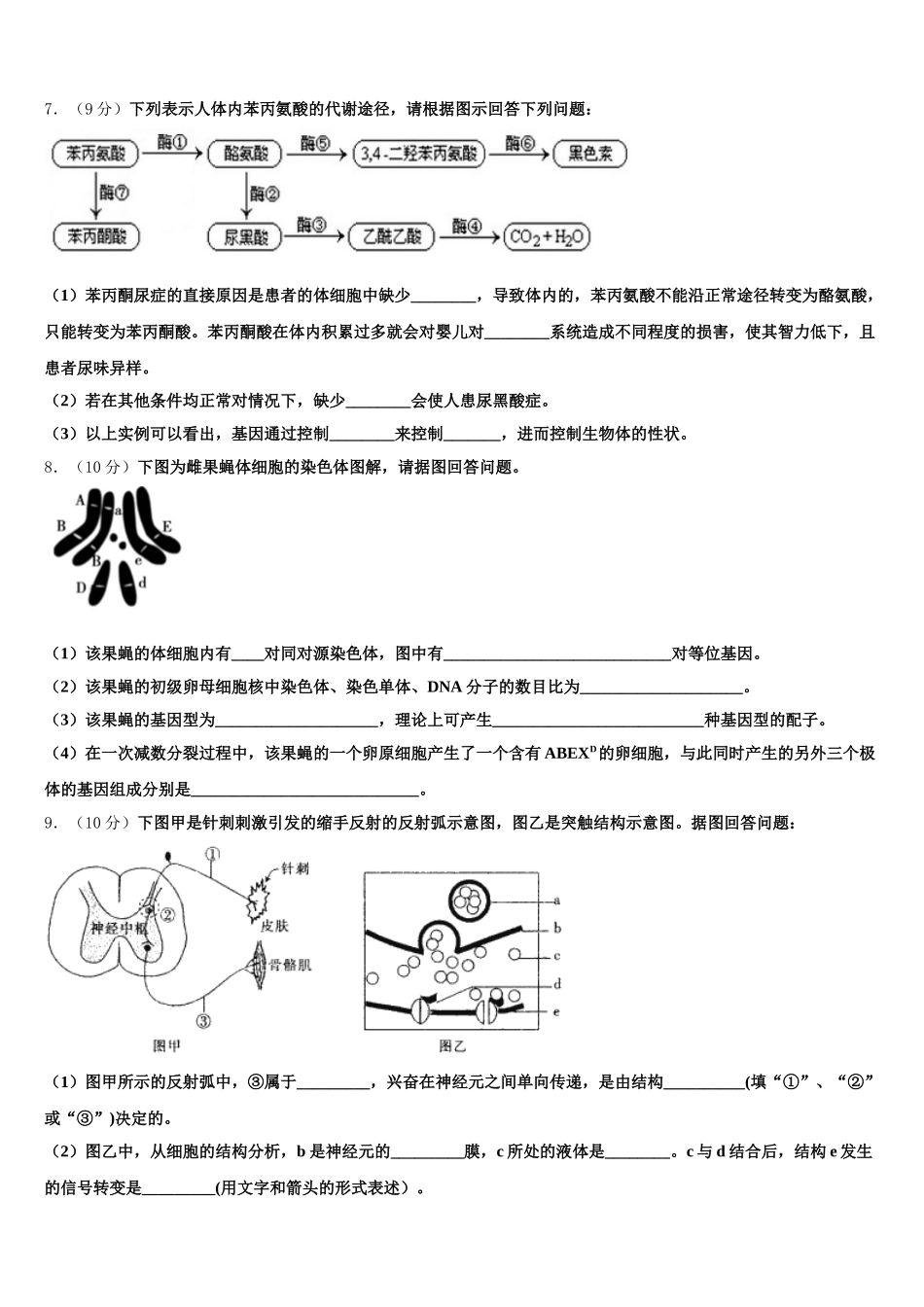 四川省眉山市高中2024-2025学年生物高一第二学期期末学业水平测试模拟试题含解析_第3页