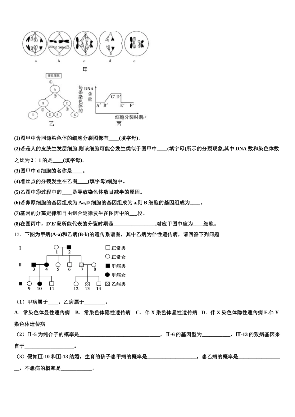 四川省邛崃市文昌中学校2025年高一下生物期末检测试题含解析_第3页