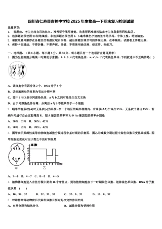四川省仁寿县青神中学校2025年生物高一下期末复习检测试题含解析