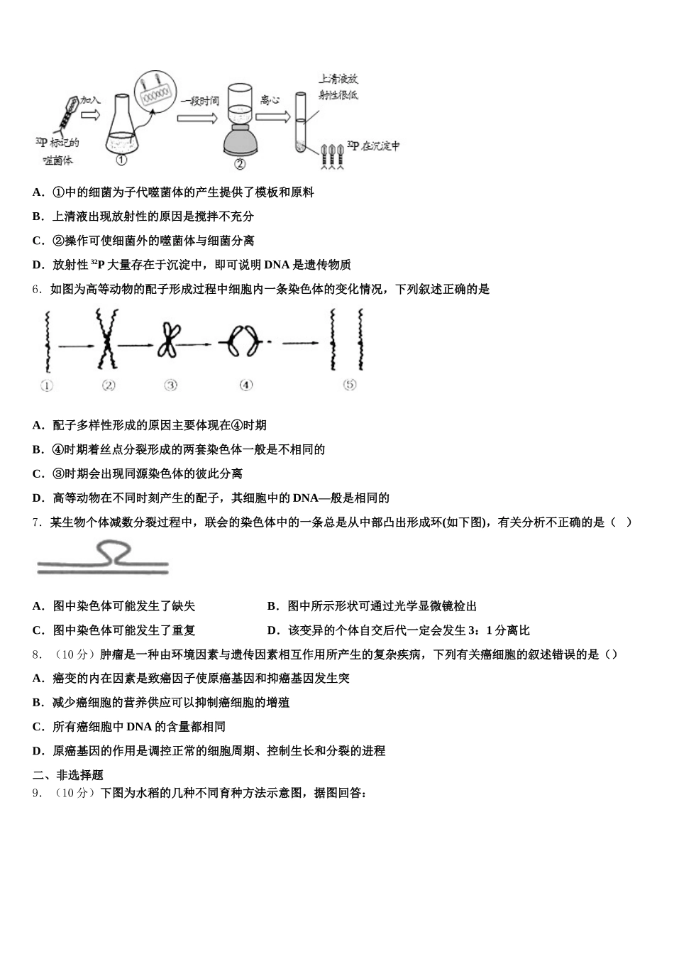 2025年四川省广元市虎跳中学生物高一第二学期期末复习检测模拟试题含解析_第2页