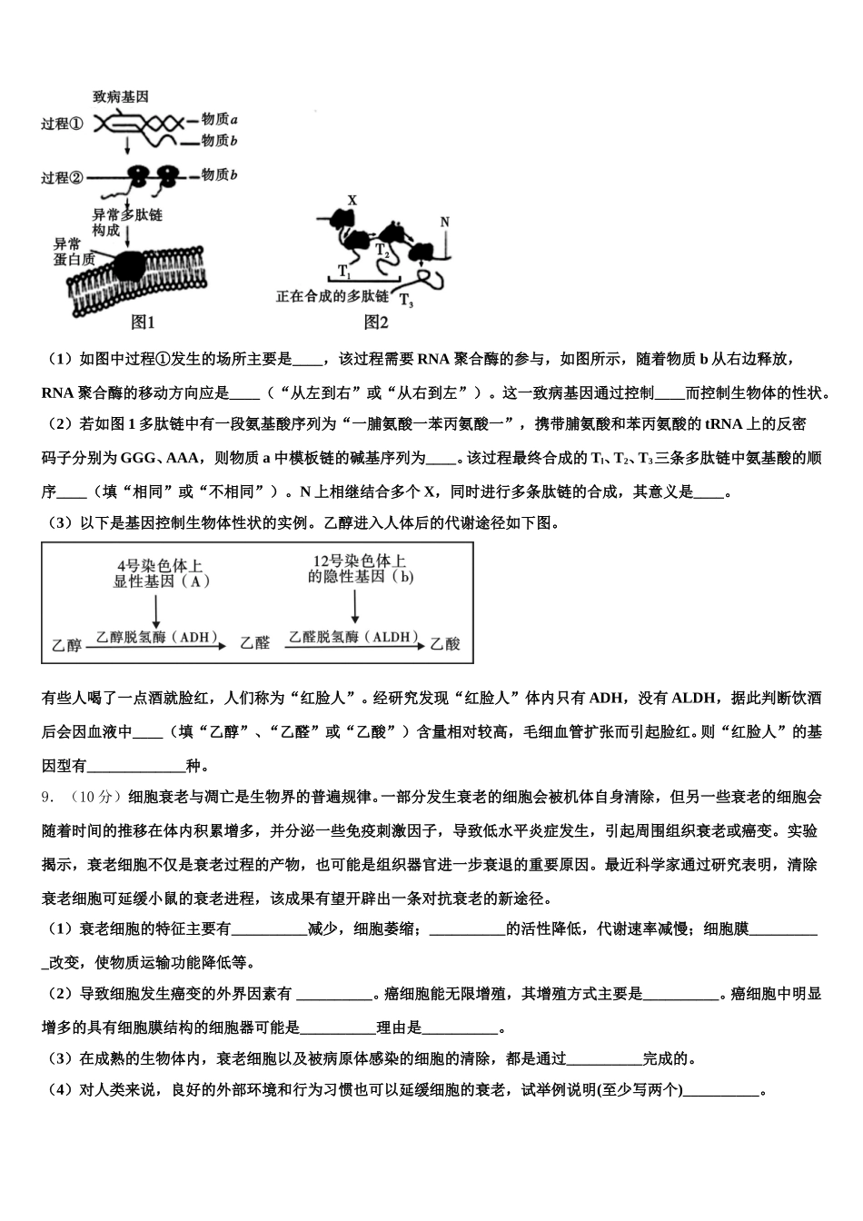 四川省成都航天中学2024-2025学年高一下生物期末调研模拟试题含解析_第3页