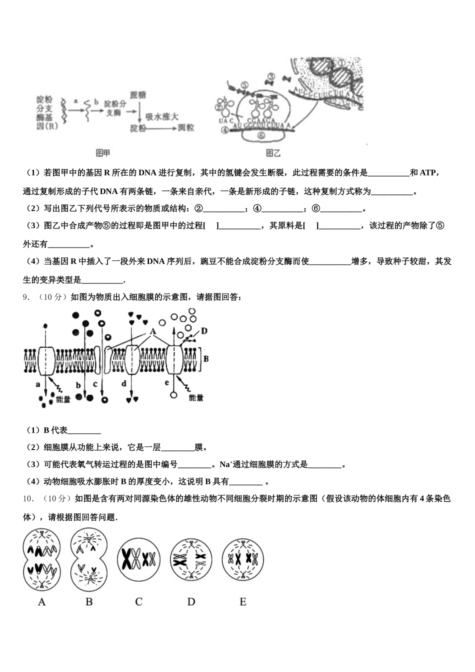 2025届四川省德阳市罗江中学高一下生物期末联考试题含解析_第3页