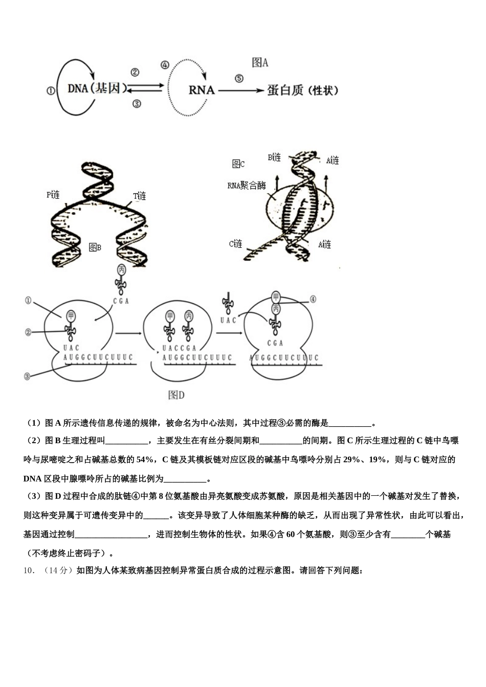 2025届四川省宜宾市筠连县第二中学高一下生物期末统考试题含解析_第3页