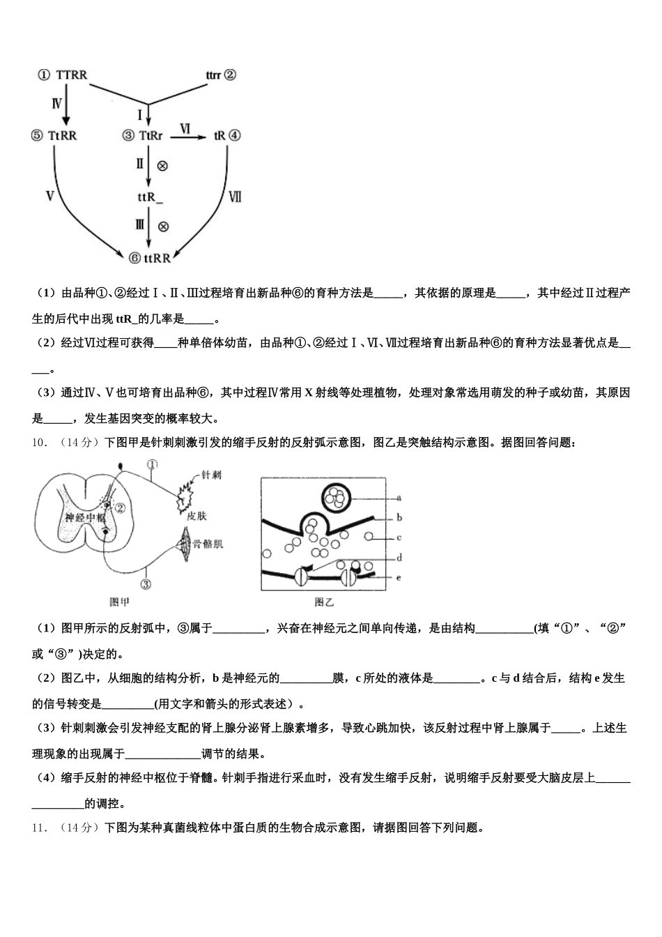 2024-2025学年四川省德阳市高中高一下生物期末经典模拟试题含解析_第3页