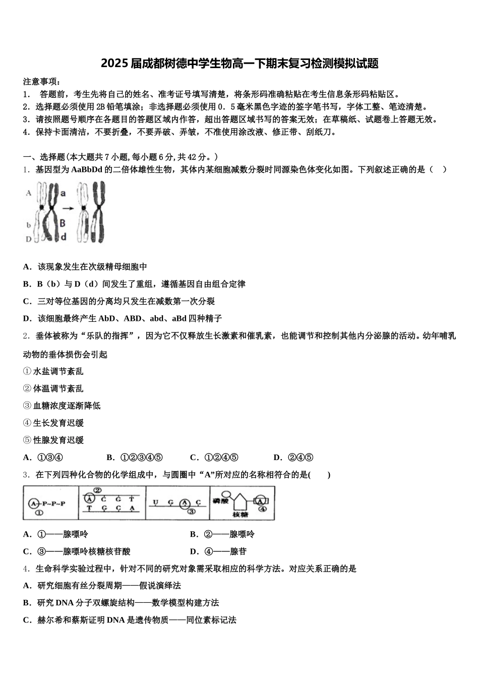 2025届成都树德中学生物高一下期末复习检测模拟试题含解析_第1页