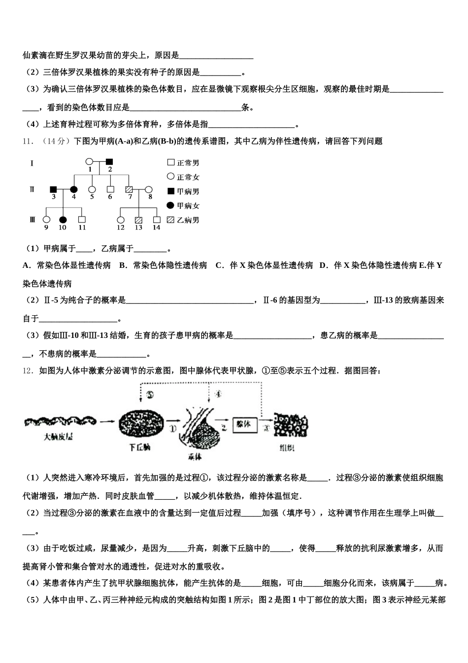 成都市树德实验中学2024-2025学年高一下生物期末检测模拟试题含解析_第3页