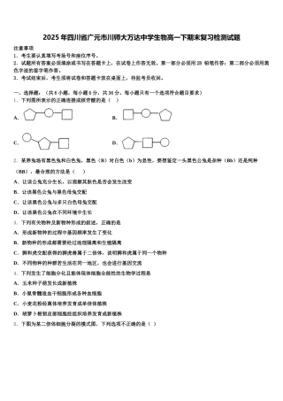 2025年四川省广元市川师大万达中学生物高一下期末复习检测试题含解析