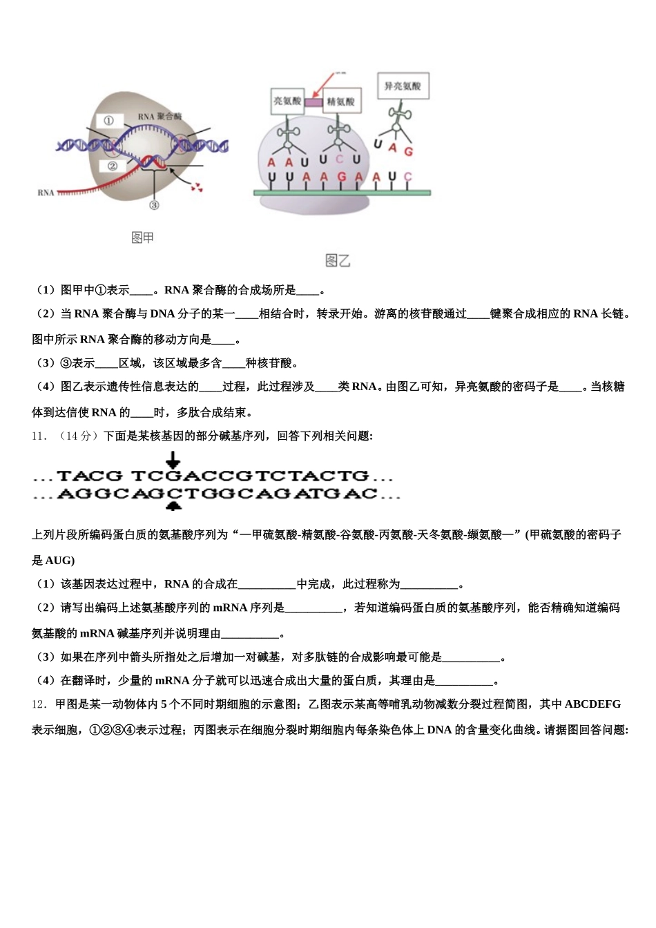 2024-2025学年四川省成都市树德中学高一下生物期末经典试题含解析_第3页