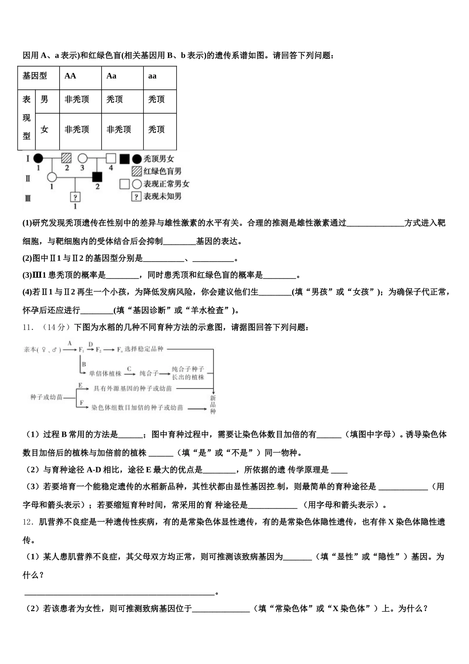 2025届成都市新都一中生物高一下期末预测试题含解析_第3页