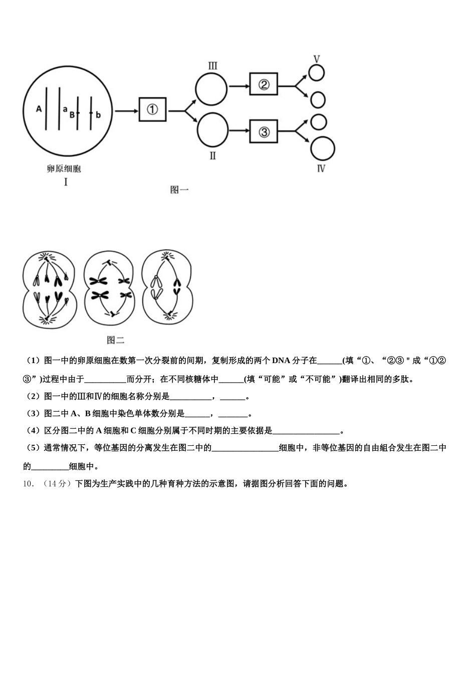 2024-2025学年四川省成都市新津中学生物高一第二学期期末预测试题含解析_第3页