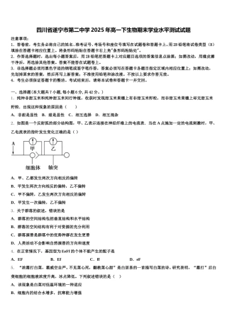 四川省遂宁市第二中学2025年高一下生物期末学业水平测试试题含解析