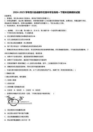 2024-2025学年四川省成都市石室中学生物高一下期末经典模拟试题含解析