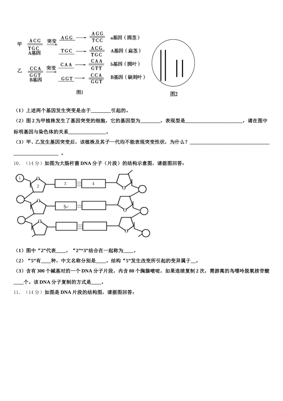 四川省眉山车城中学2024-2025学年生物高一第二学期期末联考模拟试题含解析_第3页